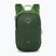 Rucsac turistic pentru copii  Osprey Jet 12 l green canopy / limeline green