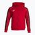 Bluză de alergare pentru bărbați Joma Elite XI Hoodie red