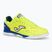 Încălțăminte de fotbal pentru bărbați Joma Top Flex Rebound IN yellow/royal