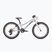 Bicicletă pentru copii Superior RACER 20 gloss grey