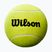Minge de tenis pentru autografe Wilson Roland Garros Mini Jumbo 5" yellow
