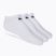 Nike Everyday Lightweight No Show 3pak șosete de antrenament alb SX7678-100