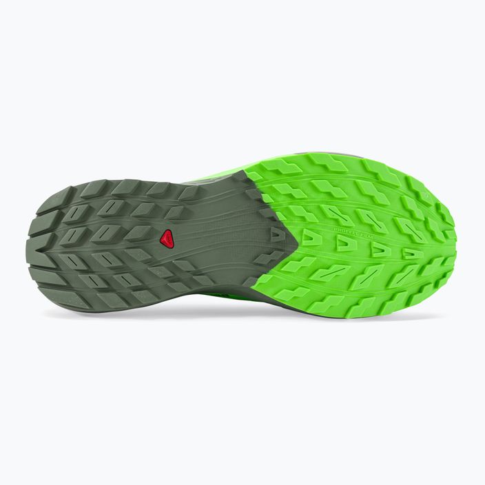Pantofi de alergare pentru bărbați Salomon Sense Ride 5 negru/laurel wreath/gecko verde 8