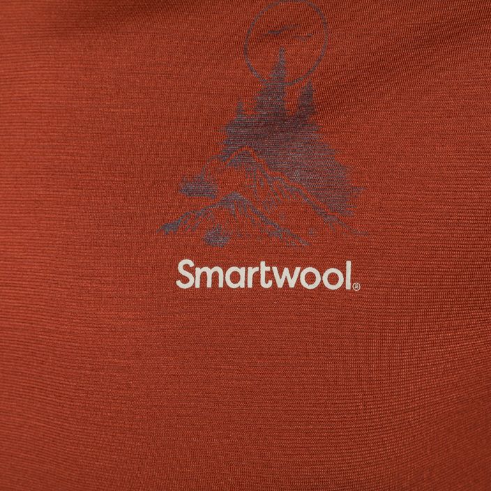 Bărbați Smartwool Wilderness Wilderness Summit Graphic Tee cămașă de trekking maro 16673 6