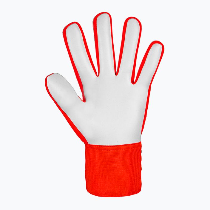 Mănuși de portar Reusch Attrakt Starter Solid de culoare roșu aprins/future albastru pentru portar 3