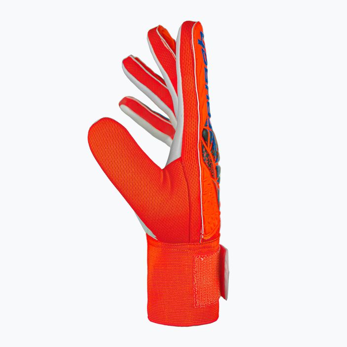 Mănuși de portar Reusch Attrakt Starter Solid de culoare roșu aprins/future albastru pentru portar 4