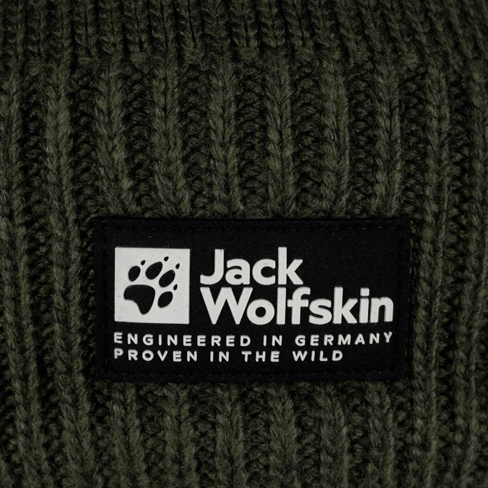 Jack Wolfskin Playn Logo Beanie beanie de iarnă beanie insula moss 4
