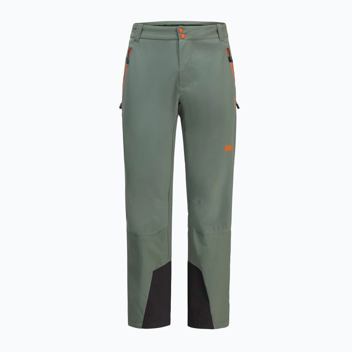 Jack Wolfskin pantaloni de trekking pentru bărbați Alpspitze Tour hedge verde 10