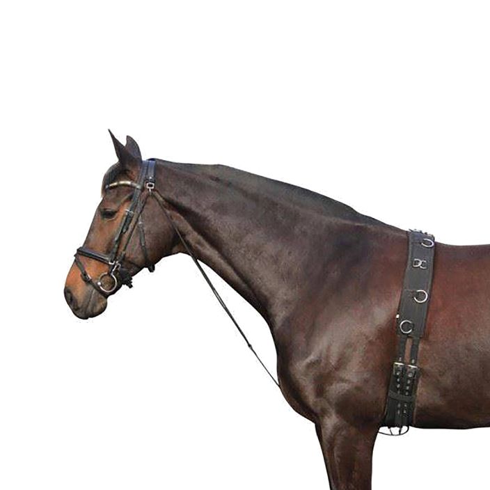 York horse chambon negru 180202 2