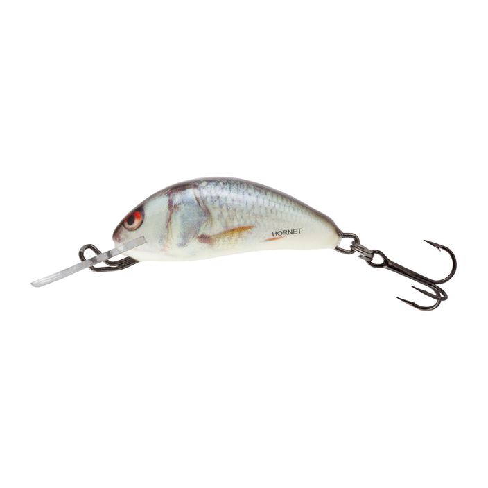 Salmo Hornet SNK dace real QHT024 2