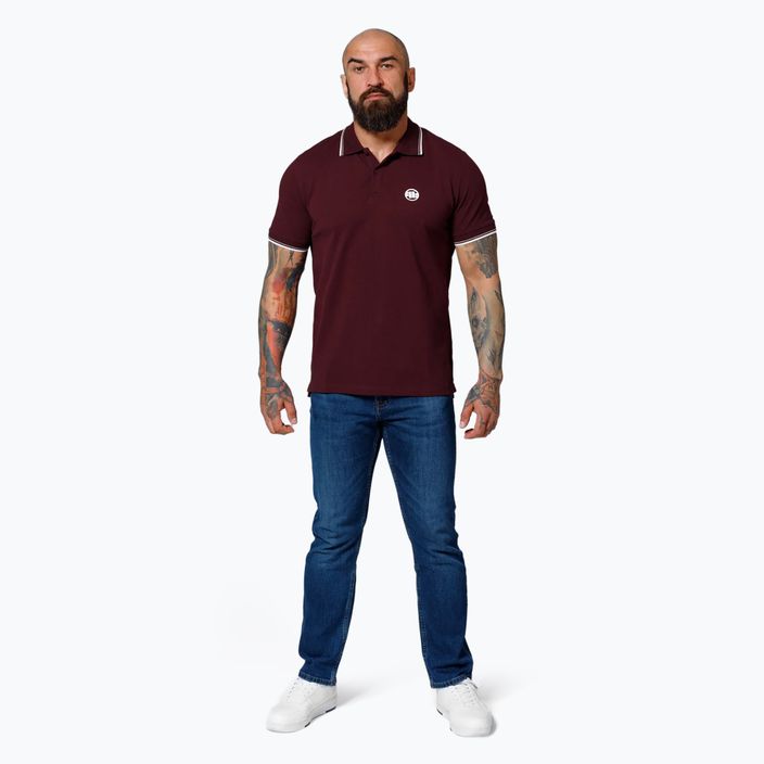 Tricou polo pentru bărbați Pitbull West Coast Polo Pique Stripes Regular burgundy 2