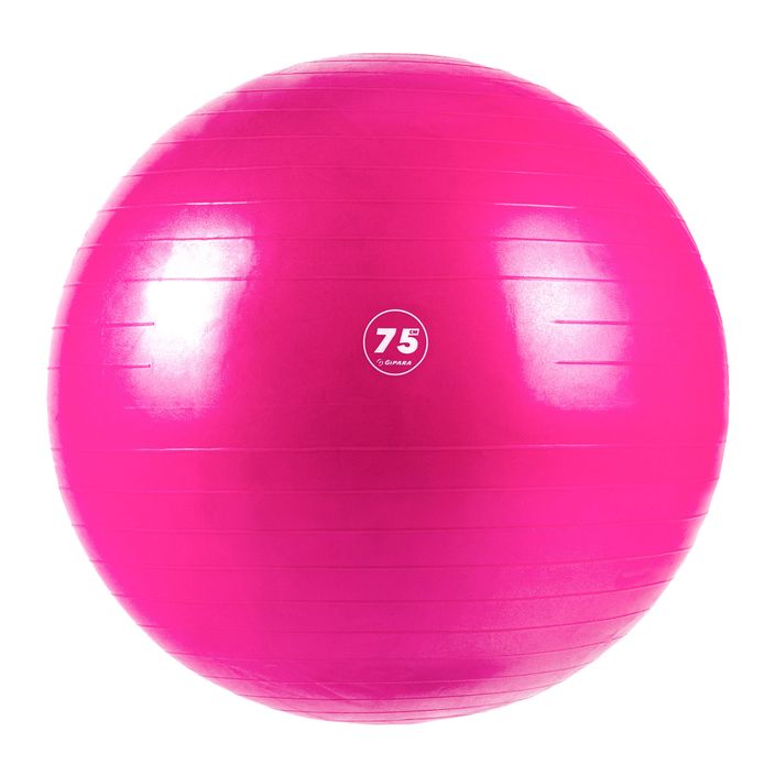 Gipara minge de fitness roz 3008 2