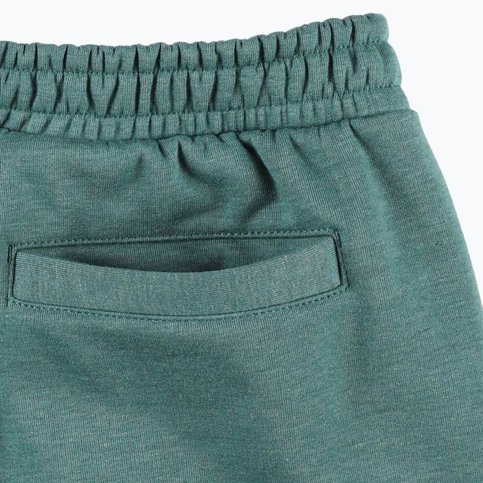 Pantaloni pentru bărbați PROSTO Flangor green 4