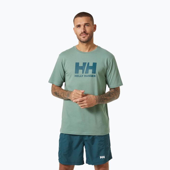 Tricou pentru bărbați Helly Hansen HH Logo cactus