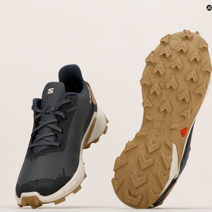 Pantofi de trail pentru bărbați Salomon Alphacross 4 gri L41724100 21