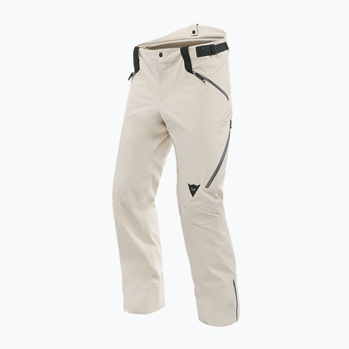 Pantaloni de schi pentru bărbați Dainese Hp Talus earth