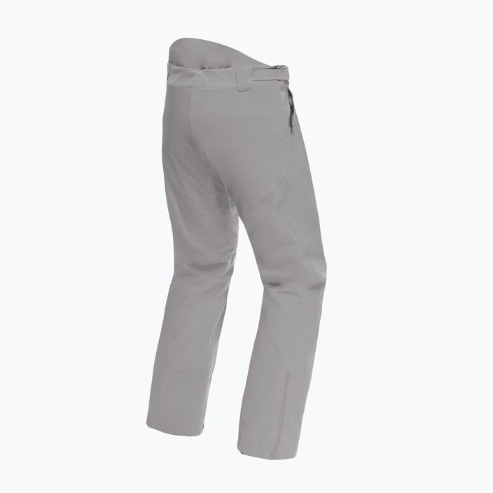 Pantaloni de schi Dainese Dermizax Ev silver/filigranat pentru bărbați Dainese Dermizax Ev silver/filigranat 7