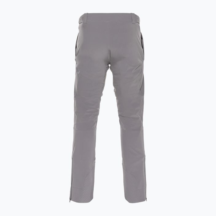 Pantaloni de schi Dainese Dermizax Ev silver/filigranat pentru bărbați Dainese Dermizax Ev silver/filigranat 2