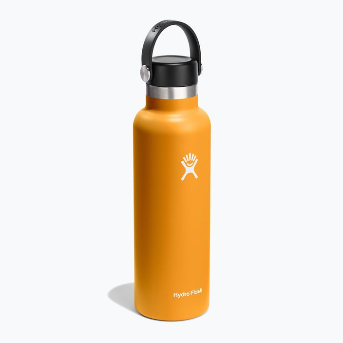 Sticlă de călătorie fosilă Hydro Flask Standard Flex 620 ml 2