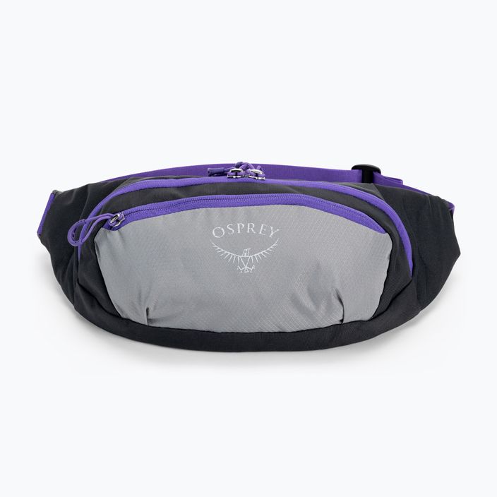 Sac de rinichi Osprey Daylite Waist 2L gri-violet 10004202 3