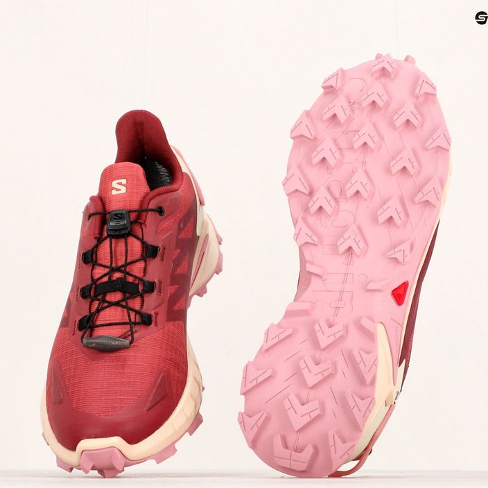 Pantofi de alergare pentru femei Salomon Supercross 4 GTX piele de vacă/syrah/blush 14