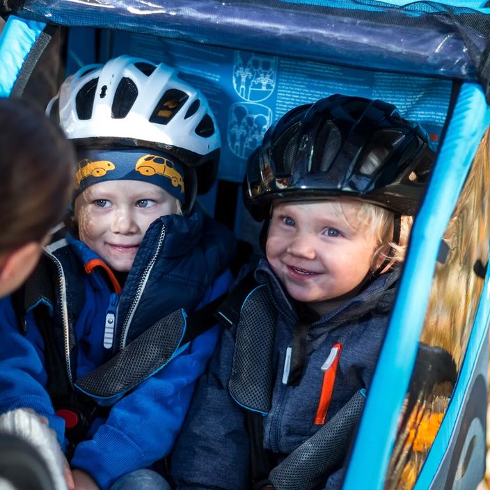 Thule Coaster XT Remorcă pentru biciclete + cărucior albastru 10101806 9