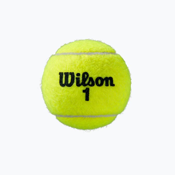 Set de mingi de tenis Wilson Roland Garros All Ct 3 buc galben WRT126400 2