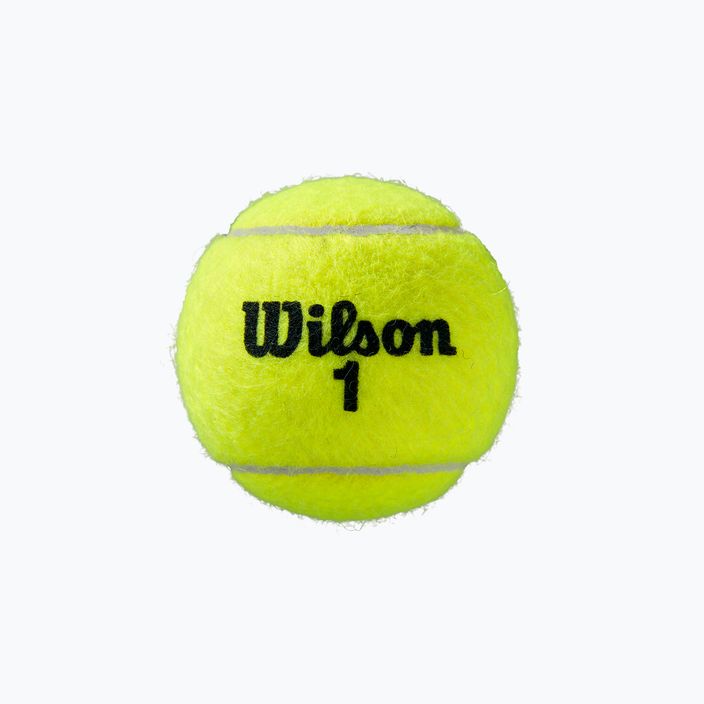 Set de mingi de tenis Wilson Roland Garros Clay Ct 4 buc galben WRT115000 3