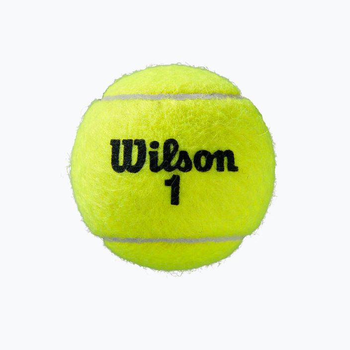 Wilson Roland Garros All Ct 4 Ball mingi de tenis 2Pk 8 buc galben WRT116402 4