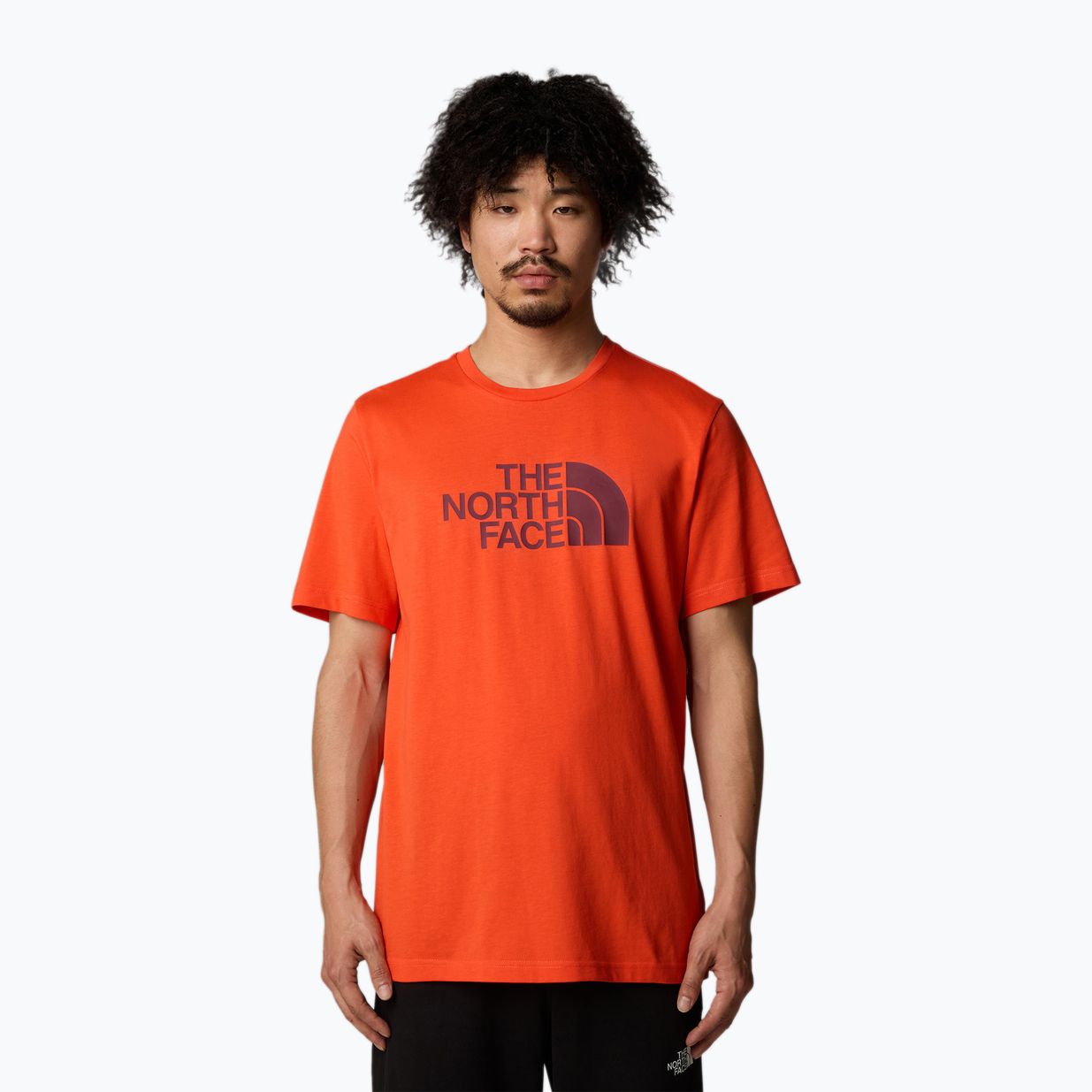 Tricou pentru bărbați The North Face Easy crimson orange/alpine plum