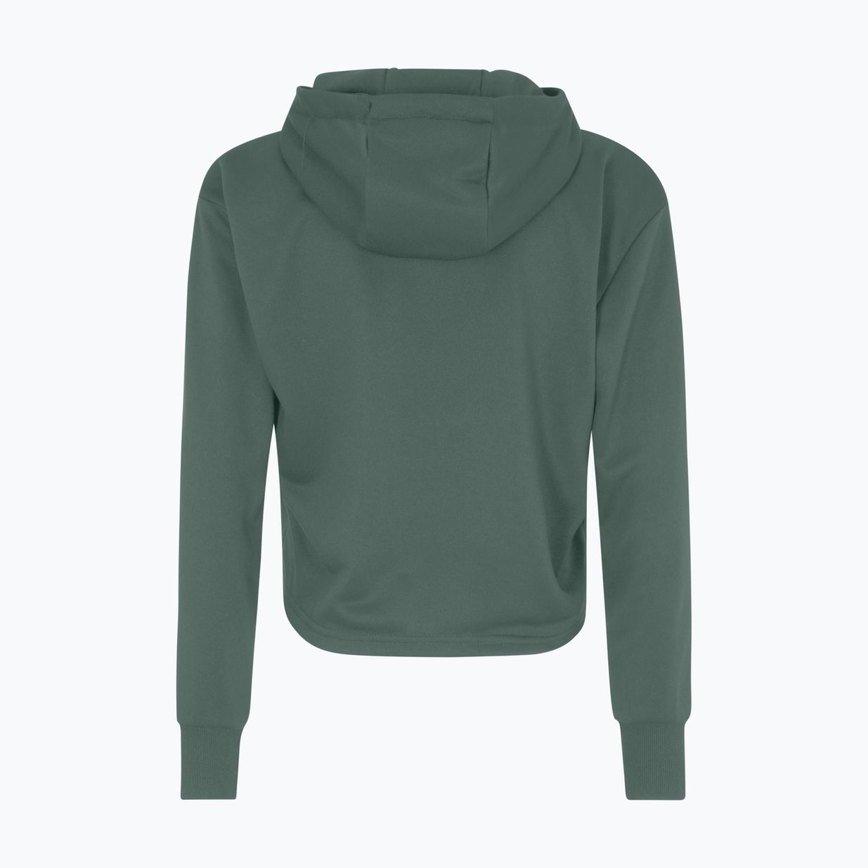 Pulover pentru femei FILA Rheine Cropped Hoody pădure închisă pădure 2