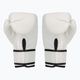 Mănuși de box pentru bărbați EVERLAST Core 4, alb, EV2100 WHT-S/M 2