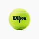Wilson Champ Xd Tball set 3 buc. galben WRT100101 2