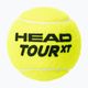 Set de mingi de tenis 4 buc. HEAD Tour Xt 4B galben 570824 2