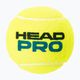 Set de mingi de tenis 4 buc. HEAD Pro 4B galben 571604 2