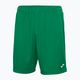 Joma Nobel pantaloni scurți de fotbal pentru bărbați verde 100053 5