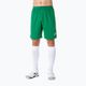 Joma Nobel pantaloni scurți de fotbal pentru bărbați verde 100053 6