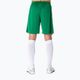 Joma Nobel pantaloni scurți de fotbal pentru bărbați verde 100053 7
