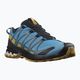 Pantofi de alergare Salomon XA Pro 3D V8 pentru bărbați L41439900 10