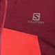 Salomon Outline GTX 2.5L jachetă de ploaie pentru bărbați roșu LC1703000 3
