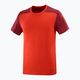 Tricou de trekking pentru bărbați Salomon Essential Colorbloc roșu LC1716000