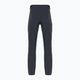 Pantaloni de trekking pentru bărbați Salomon Wayfarer gri LC1713600 2