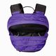 Rucsac turisticThe North Face Borealis Classic 29 l peak purple/black 4