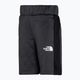 The North Face Surgent pantaloni scurți gri NF0A7QZO0C51 3
