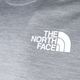 Tricou bărbătesc cu mânecă scurtă The North Face Ma gri NF0A5IEUGAU1 9