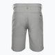 Pantaloni scurți de golf pentru bărbați Oakley Take Pro Lite gri FOA403098 2