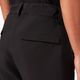 Pantaloni de snowboard pentru bărbați Oakley Axis Insulated negru FOA403446 4