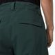Pantaloni de snowboard pentru bărbați Oakley Axis Insulated verde FOA403446 5