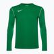 Longsleeve de fotbal pentru bărbați Nike Dri-FIT Park 20 Crew pine green/white/white