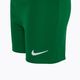 Set de fotbal pentru copii Nike Dri-FIT Park Little Kids pine green/pine green/white 5